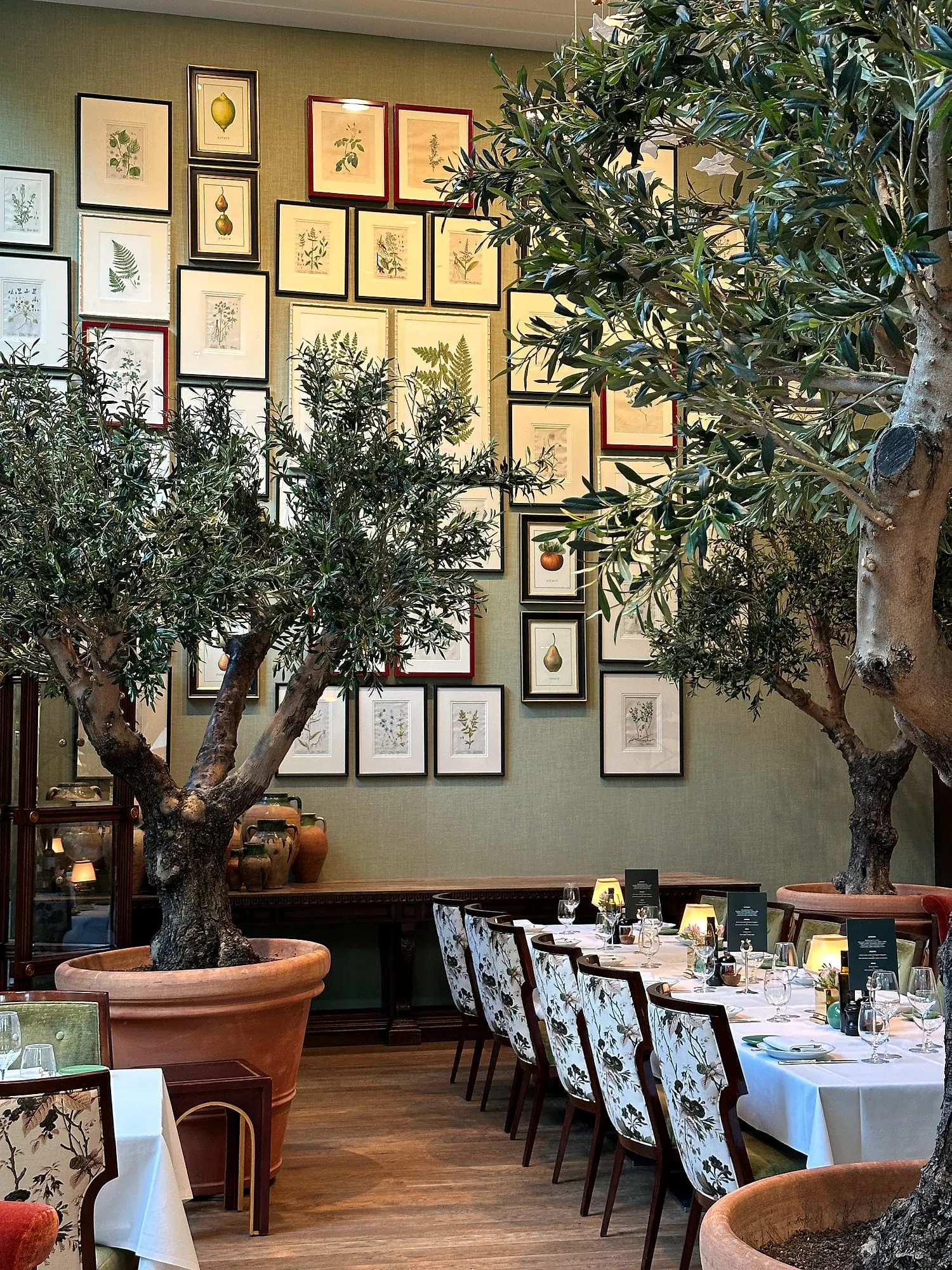 A long set dinner table beneath potted olive trees and a wall of framed botanical prints.